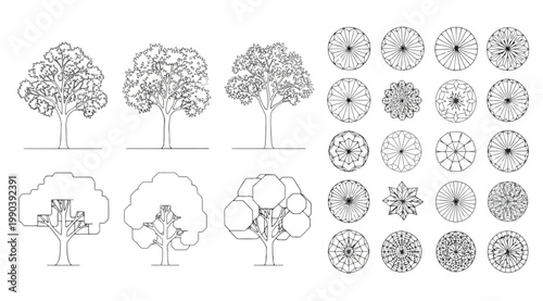 Set of architectural tree symbols for landscape design plans and elevations
