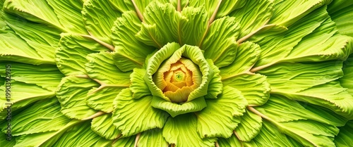 Infinitely repeating cabbage pattern, fractal-like structure, repeating texture, food