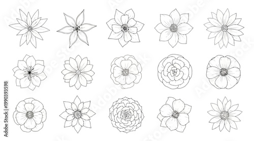 Set of handdrawn flowers, floral elements collection
