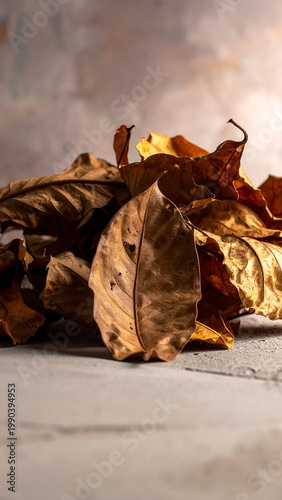 Dried brown leaves piled on a textured surface with a muted background