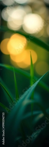 Whispers of emerald blades dance in diffused twilight, softly blurring into an ethereal green haze,  minimalism,  green