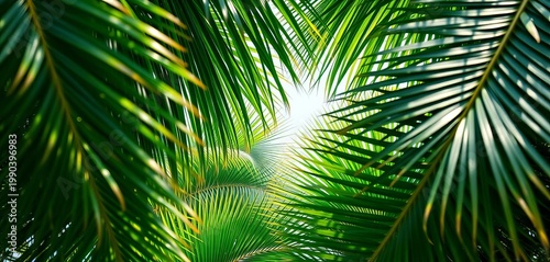 Tropical palm tree leaves forming a natural frame, vibrant green foliage, image, vibrant