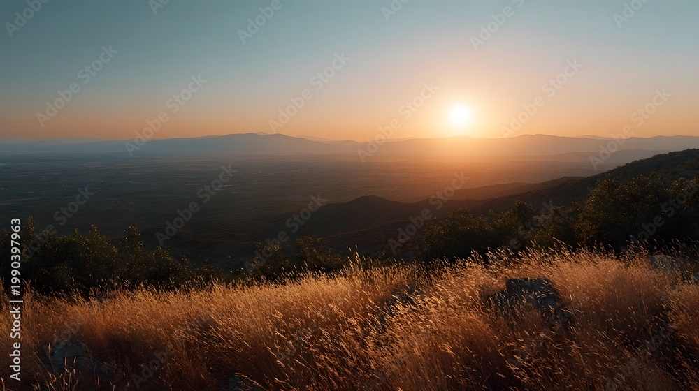 Fototapeta premium Golden hour sunlight illuminates vast fields of tall grass set against a breathtaking backdrop of layered mountains at sunset