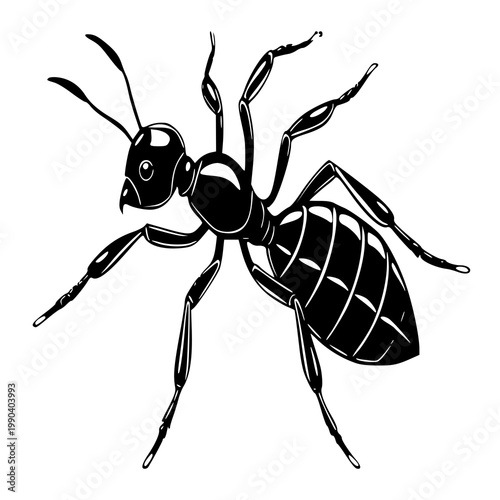 set of black ants , vector illustration of a ant , silhouette of a ant 