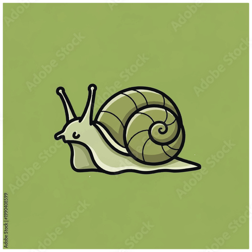 Snail Shell Animal Mollusk Slow Moving.