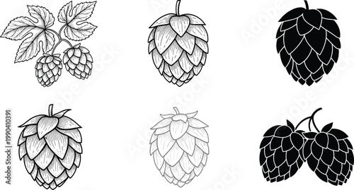 Berry Fruit Icon Set with Strawberry Raspberry Blackberry Hop and Floral Elements Line Art and Silhouette Vector Illustrations
