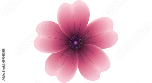 A pink flower with a transparent background on a white surface