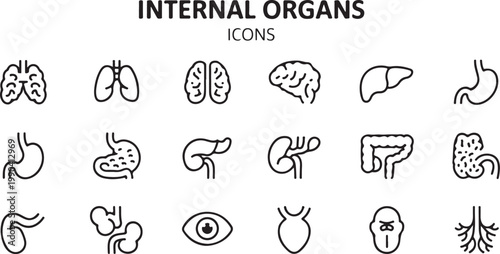 Set of internal organs icons in thin line art style on transparent background medical health and anatomy collection.