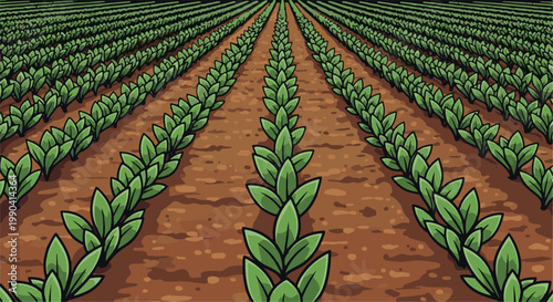 Rows of young green plants grow in neat lines across a brown field