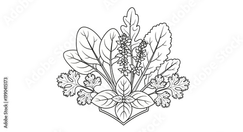 Detailed illustration of various leafy greens.