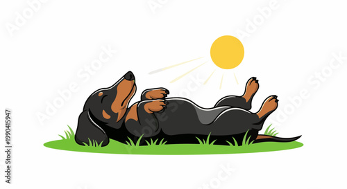 A cartoon dachshund dog lies on its back in green grass, basking in the sun