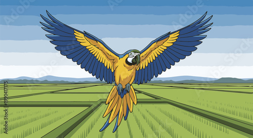 A vibrant parrot with wings spread flies over green agricultural fields under a blue sky
