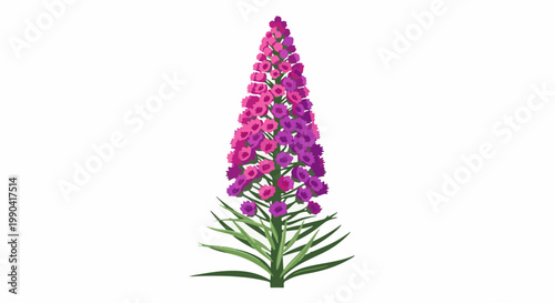 A tall, conical spike of pink and purple flowers with green leaves at its base