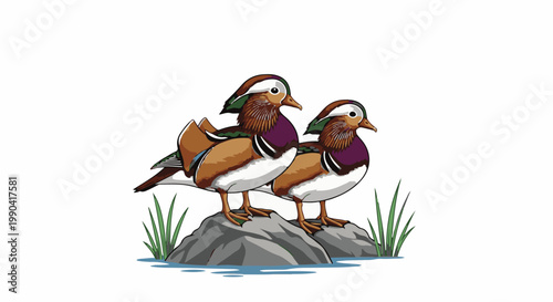 Two colorful Mandarin ducks perched on rocks in shallow blue water with green grass