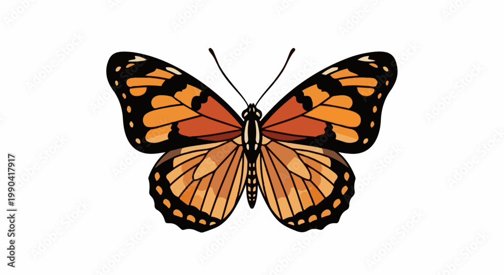 Obraz premium A bright orange and black patterned butterfly with black antennae