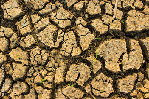 Foto Brown dry soil or cracked ground texture background