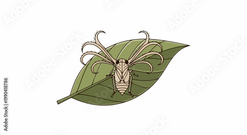 Artistic rendering of a light brown insect with elaborate, wispy appendages resting on a green leaf