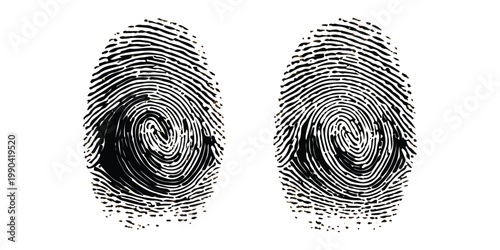 Two distinct black fingerprints displayed on a pure white background, each featuring a unique swirling pattern at its center, representing identity and forensic analysis.