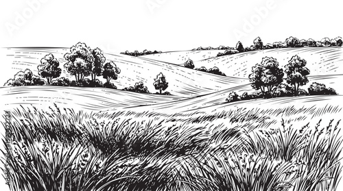 Rolling hills and lush vegetation depicted in a detailed ink sketch.
