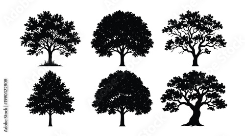 Silhouettes of various trees against a plain white background.