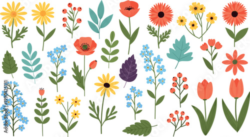 Collection of colorful wildflowers and garden plants botanical flat illustration set