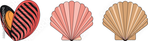 Seashell collection with scallop shells and open mussel illustration isolated on white background for marine design beach decoration and ocean themed concepts