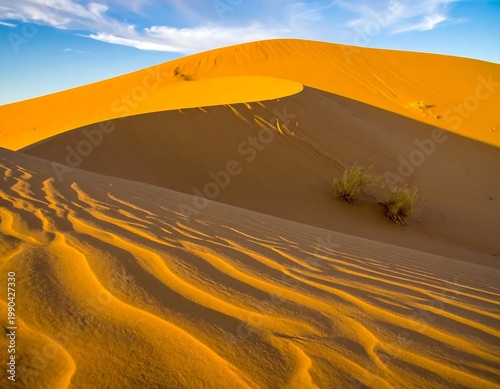 Vast Golden Sand Dunes In The Sahara Desert With Wind Ripples And Blue Landscape Photography