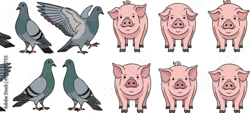 Pigeon birds and pig farm animals vector illustration set with realistic cartoon wildlife and livestock characters collection