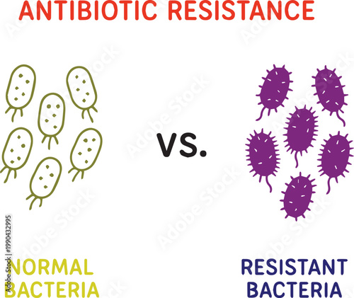 An infographic illustration comparing normal bacteria to resistant bacteria