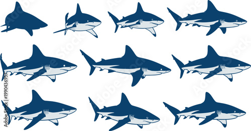 Blue shark illustration set with various marine predator poses isolated on white background for ocean wildlife design