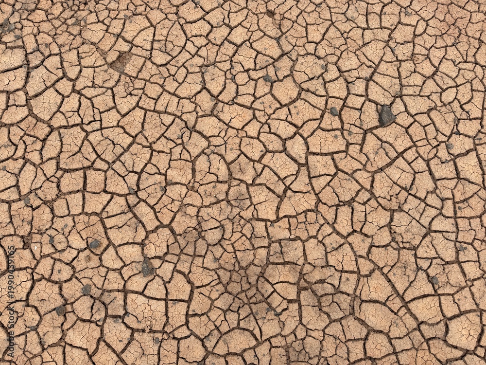Fototapeta premium Tierra árida con grietas en superficie