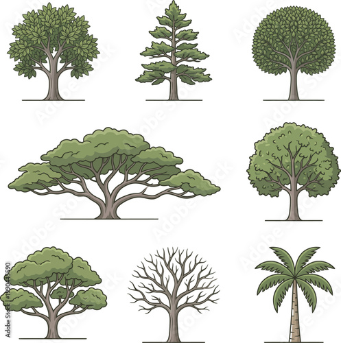 Vector illustration set of eight trees, oak conifer pine palm and seasonal bare trees in cartoon style for landscape design, nature ecology, garden and environmental graphics