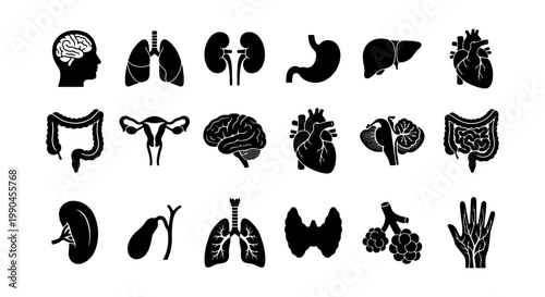 Human internal organs black silhouette icons, medical anatomy vector set of 18 body parts, biological organ symbols for healthcare and education