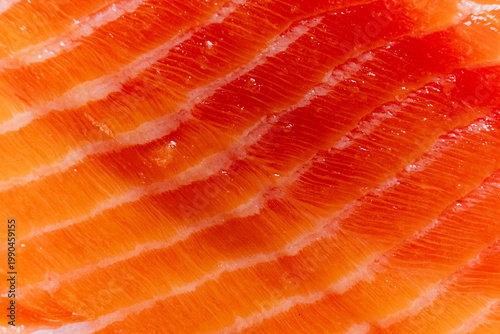 Slicing through the vibrant layers of fresh salmon with artistic precision