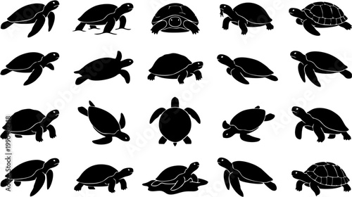 A versatile vector collection of stylized turtle silhouettes, showcasing diverse poses and movements, ideal for aquatic and marine life themed graphic design projects