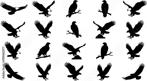 Dynamic collection of majestic eagle silhouettes in various poses, capturing powerful flight, poised perching, and assertive action, embodying freedom and strength