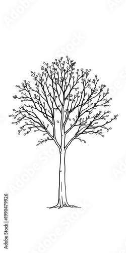 Simple line drawing of a deciduous tree, perfect for nature or design projects,  outline,  branch