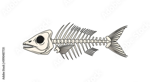 Minimalist Fish Bone Vector Illustration on White Background