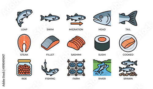 Salmon life stages and seafood products displayed on white