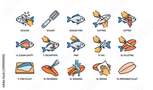 Fish cleaning and filleting steps displayed on white background