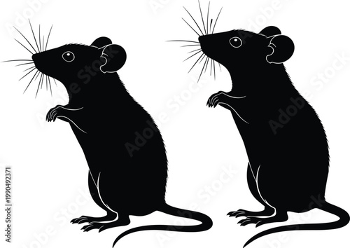 Silhouette of two mice standing upright, minimalist black and white animal illustration, wildlife concept artwork, simple rodent design drawing