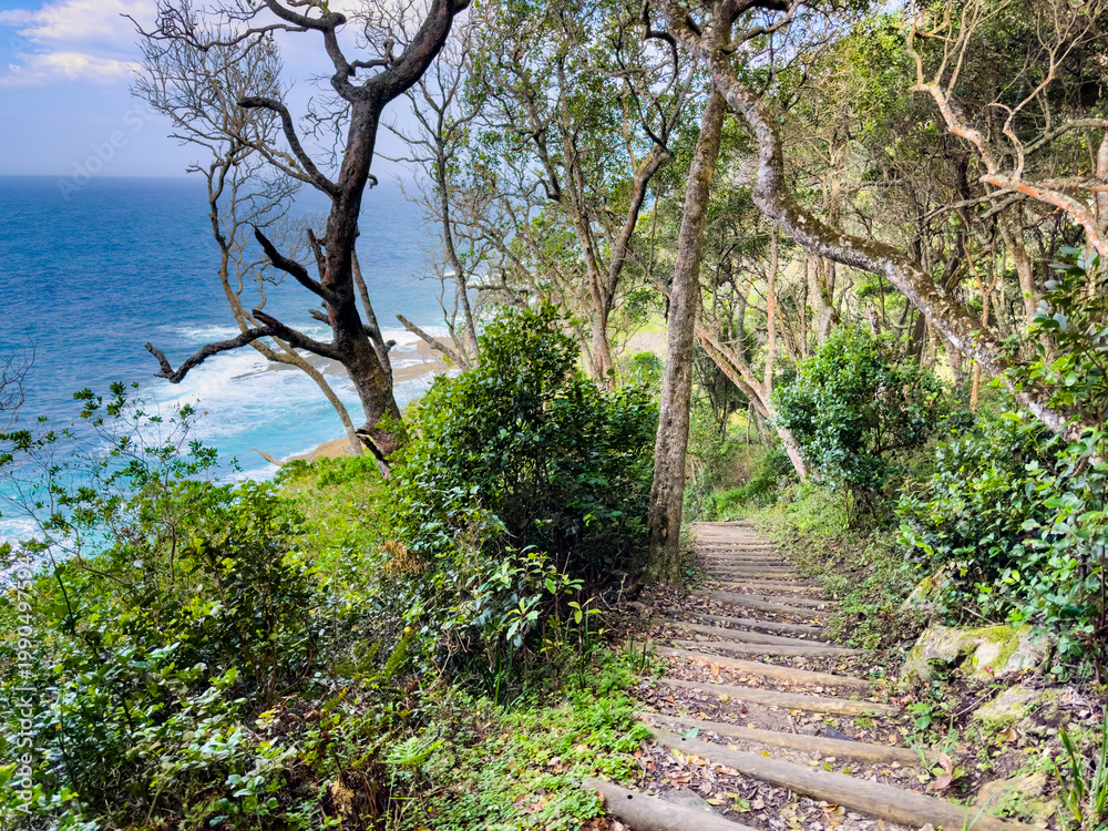 Fototapeta premium Scenic view of a pathway leading down to idilic coastline