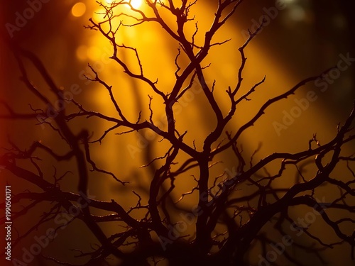 Whispers of amber sunlight embrace gnarled branches, creating a dreamlike, softened silhouette,  serene,  mellow