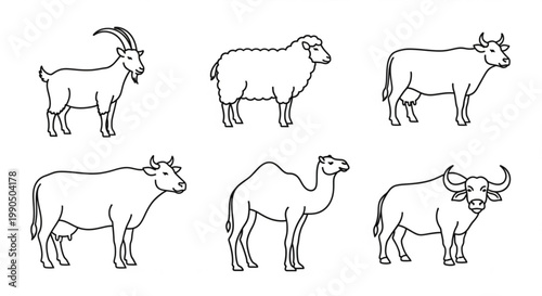 Collection of farm and domestic animal line art icons including goat sheep cow camel and buffalo for agricultural or educational use