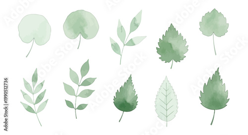 Variety of green leaf shapes.