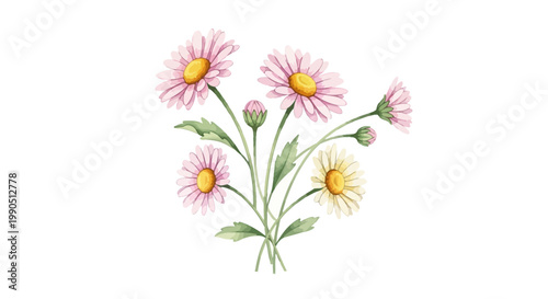 Pink and Yellow Flowers in Bloom.