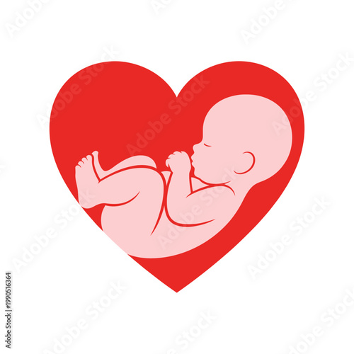 Heartwarming graphic illustration of a baby fetus nestled inside a large red heart, symbolizing love, family, and new life