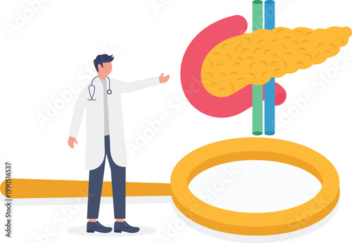 Specialist investigating pancreas anatomy with magnifying glass