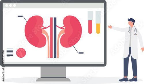 Doctor monitoring renal function on clinical digital screen