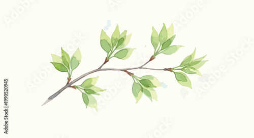 Green leaves on a branch.